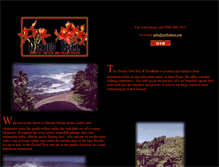 Tablet Screenshot of orchidtree.net